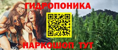 каннабис Кандалакша