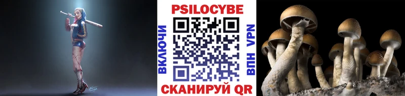 mega   хочу   Магадан  Псилоцибиновые грибы мицелий 